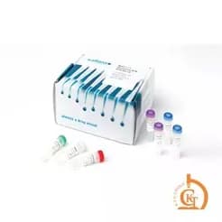 بسته کیت PCR بلادرنگ
