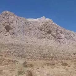 معدن دهبید به فروش می‌رسد.
