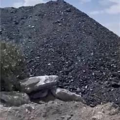 ذغال سنگ ممتاز، عرضه مستقیم

