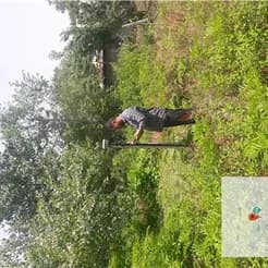 خدمات نقشه برداری و سیماک در شهر رشت
