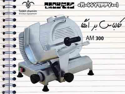 am300: دستگاهی برای تولید کالباس
 - تصویر 1